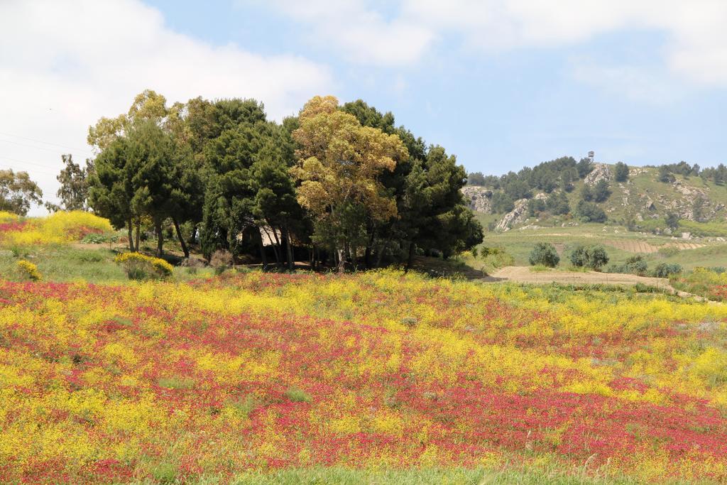Abita Appartamenti Trapani Dış mekan fotoğraf