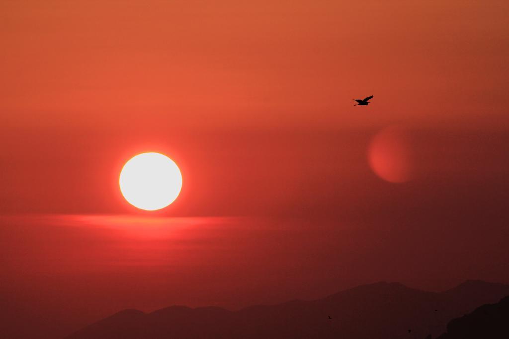 Abita Appartamenti Trapani Dış mekan fotoğraf